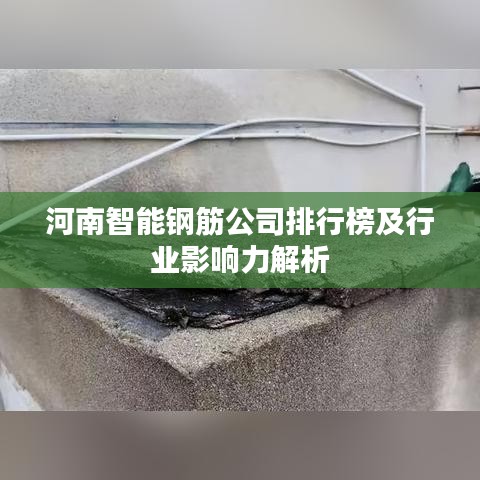 河南智能钢筋公司排行榜及行业影响力解析