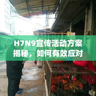H7N9宣传活动方案揭秘，如何有效应对禽流感威胁？