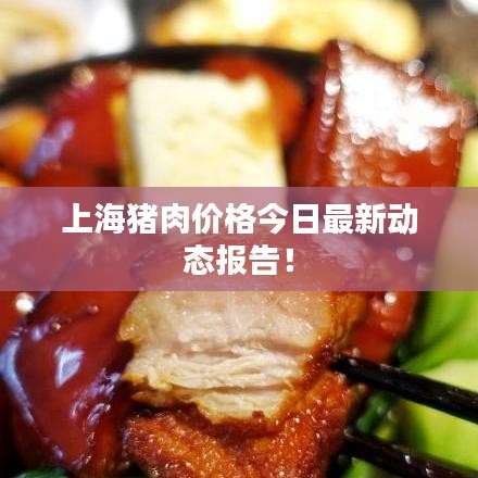 新闻资讯 第4页