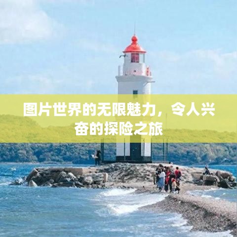 图片世界的无限魅力，令人兴奋的探险之旅