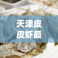 天津皮皮虾最新价格行情解析