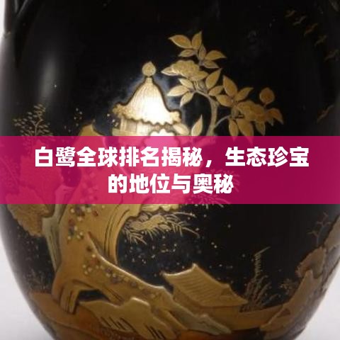 白鹭全球排名揭秘，生态珍宝的地位与奥秘