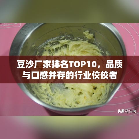 豆沙厂家排名TOP10，品质与口感并存的行业佼佼者