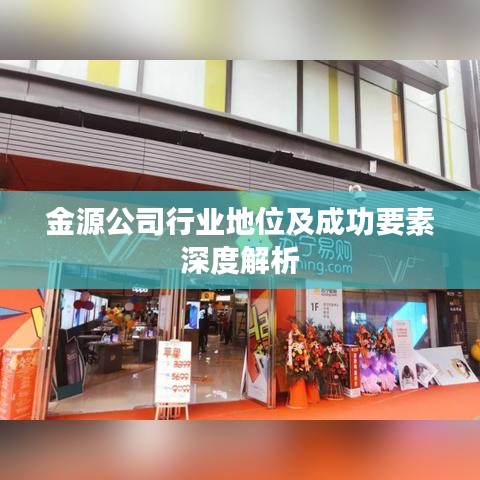 金源公司行业地位及成功要素深度解析