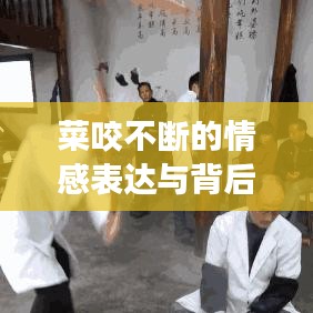 菜咬不断的情感表达与背后故事揭秘