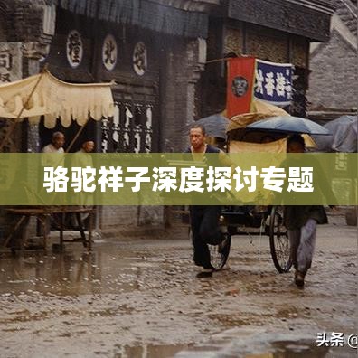 骆驼祥子深度探讨专题