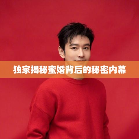 独家揭秘蜜婚背后的秘密内幕