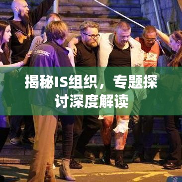 揭秘IS组织，专题探讨深度解读