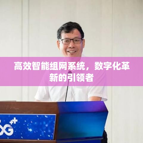 高效智能组网系统，数字化革新的引领者