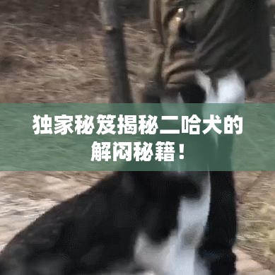 还淳反素
