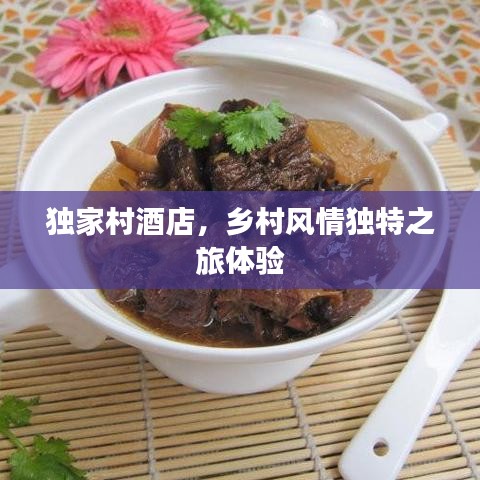 独家村酒店，乡村风情独特之旅体验