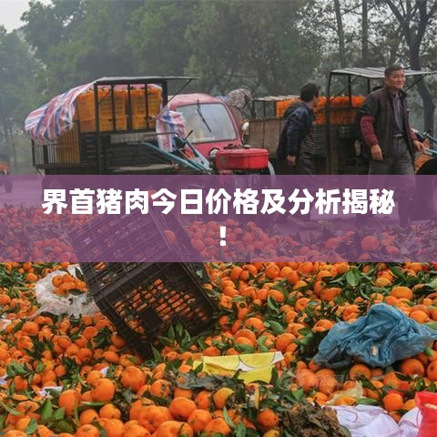 界首猪肉今日价格及分析揭秘！