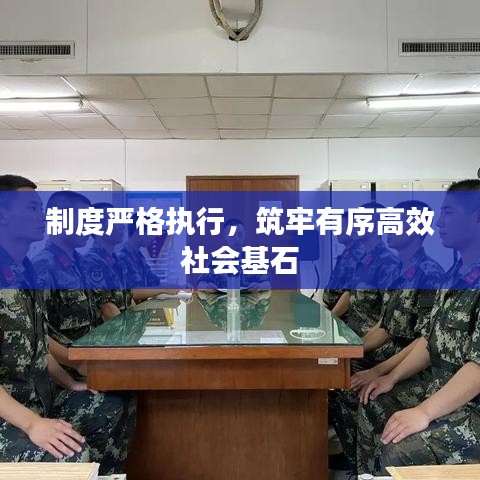 制度严格执行，筑牢有序高效社会基石