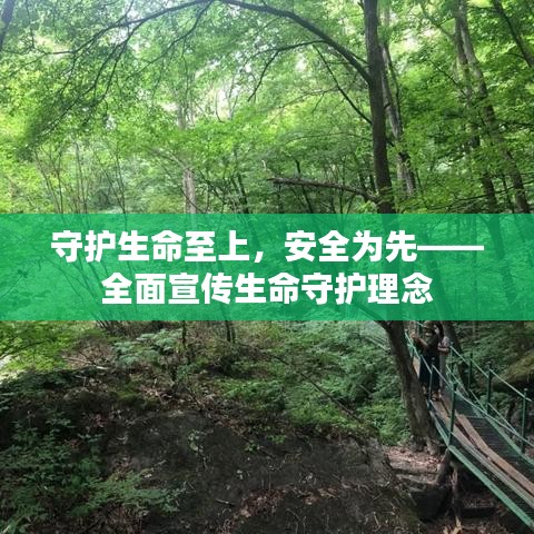 守护生命至上，安全为先——全面宣传生命守护理念