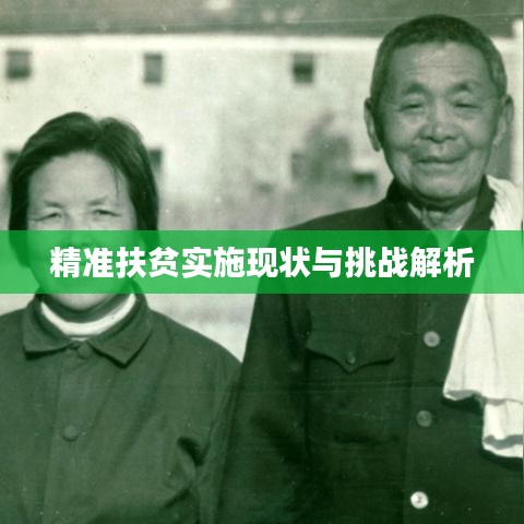 精准扶贫实施现状与挑战解析