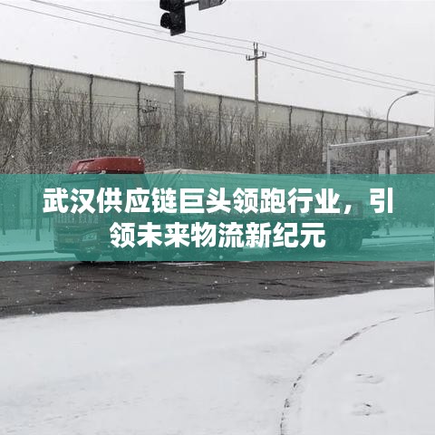 武汉供应链巨头领跑行业，引领未来物流新纪元
