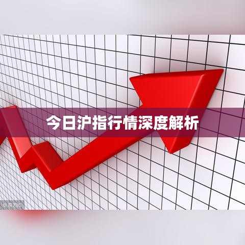 今日沪指行情深度解析