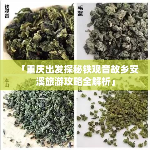 「重庆出发探秘铁观音故乡安溪旅游攻略全解析」