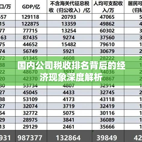 国内公司税收排名背后的经济现象深度解析