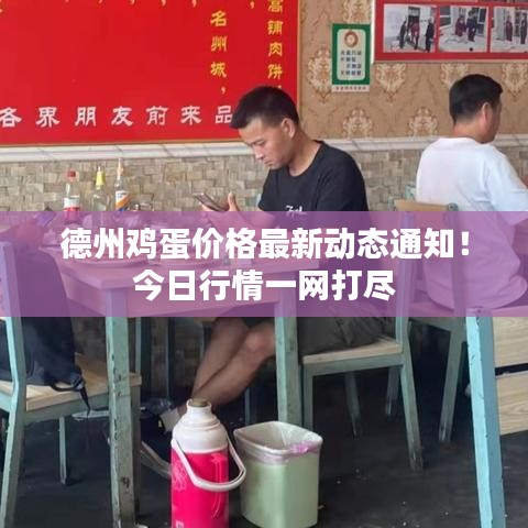 德州鸡蛋价格最新动态通知！今日行情一网打尽