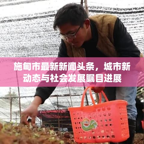 施甸市最新新闻头条，城市新动态与社会发展瞩目进展