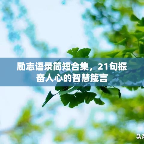 励志语录简短合集，21句振奋人心的智慧箴言