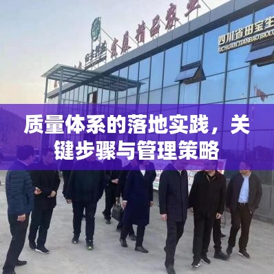 质量体系的落地实践，关键步骤与管理策略