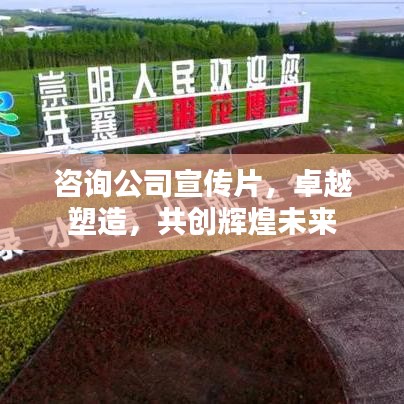 咨询公司宣传片，卓越塑造，共创辉煌未来