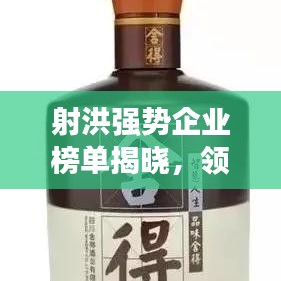 射洪强势企业榜单揭晓，领先公司排名一览