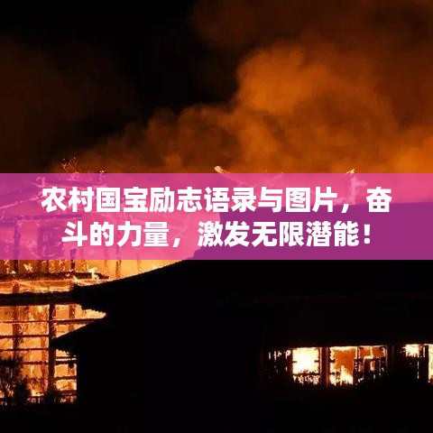 农村国宝励志语录与图片，奋斗的力量，激发无限潜能！