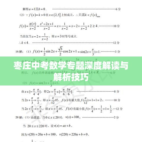 枣庄中考数学专题深度解读与解析技巧