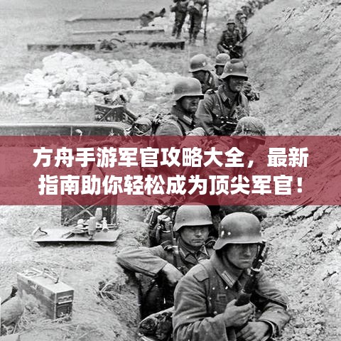 方舟手游军官攻略大全，最新指南助你轻松成为顶尖军官！