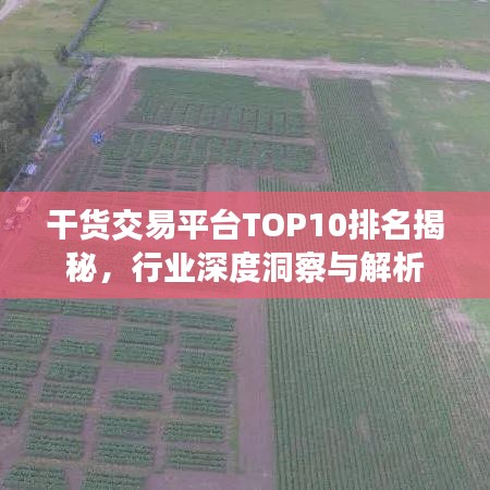 干货交易平台TOP10排名揭秘，行业深度洞察与解析