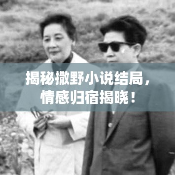 揭秘撒野小说结局，情感归宿揭晓！