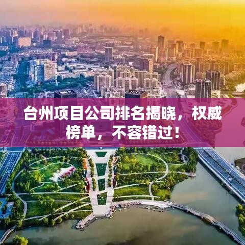 台州项目公司排名揭晓，权威榜单，不容错过！