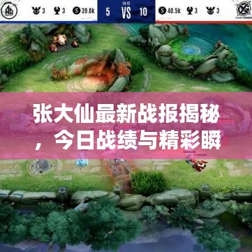 张大仙最新战报揭秘，今日战绩与精彩瞬间不容错过