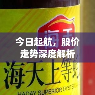 今日起航，股价走势深度解析