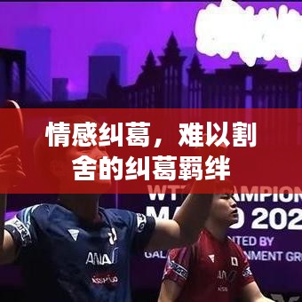 情感纠葛，难以割舍的纠葛羁绊