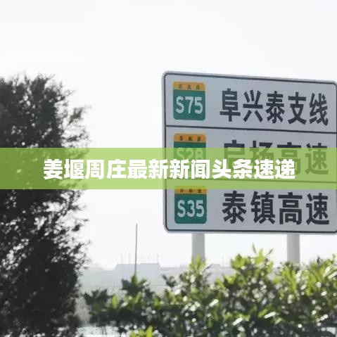 姜堰周庄最新新闻头条速递