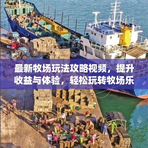 最新牧场玩法攻略视频，提升收益与体验，轻松玩转牧场乐趣！
