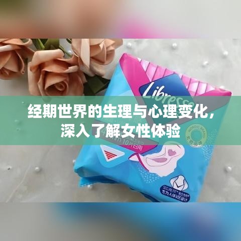 经期世界的生理与心理变化，深入了解女性体验