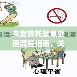 突发猝死紧急处理流程指南，关键时刻，掌握这些救命步骤！
