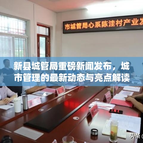 新县城管局重磅新闻发布，城市管理的最新动态与亮点解读
