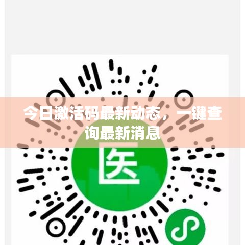 今日激活码最新动态，一键查询最新消息