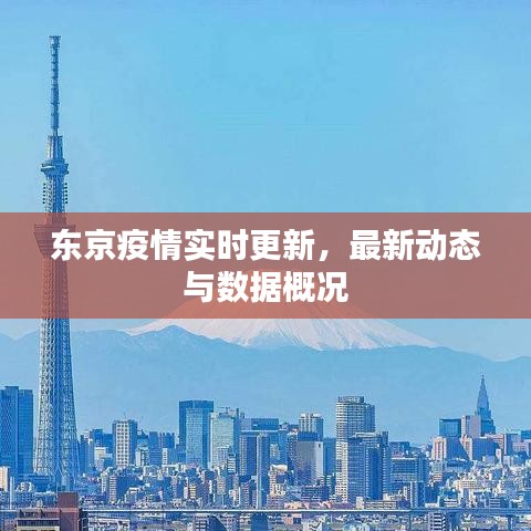 东京疫情实时更新，最新动态与数据概况