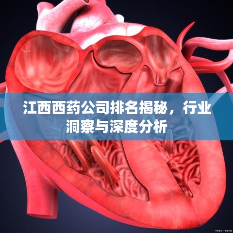 江西西药公司排名揭秘，行业洞察与深度分析