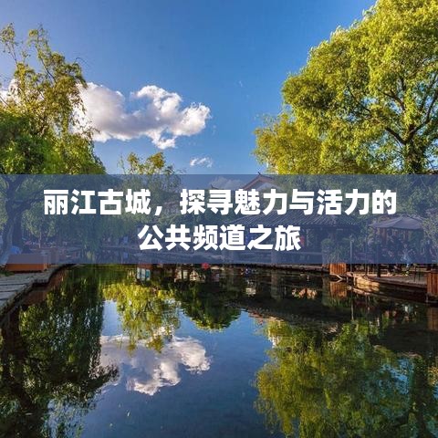 丽江古城，探寻魅力与活力的公共频道之旅