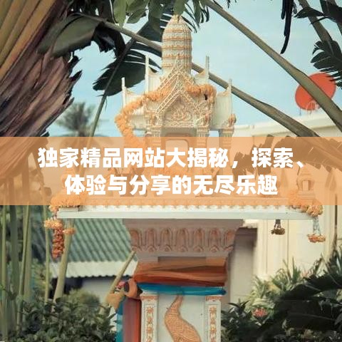 独家精品网站大揭秘，探索、体验与分享的无尽乐趣