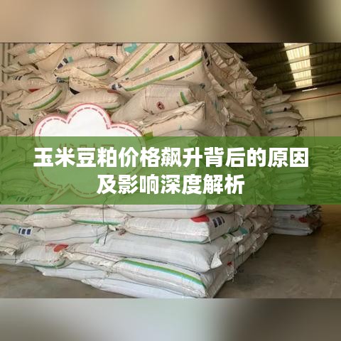 玉米豆粕价格飙升背后的原因及影响深度解析