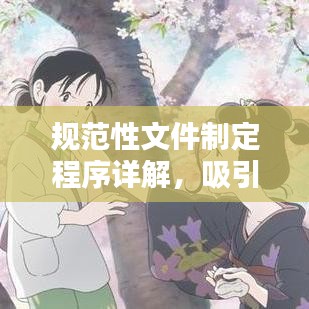 规范性文件制定程序详解，吸引眼球的标题，百度收录标准！